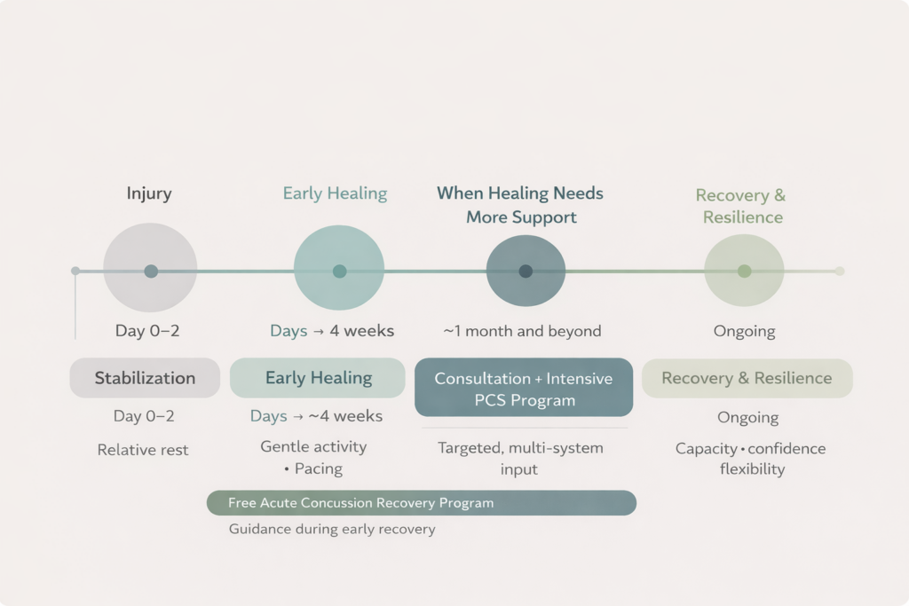 Concussion recovery timeline showing stabilization in the first 2 days, early healing over the first 4 weeks, intensive care starting around one month if symptoms persist, and long-term recovery and resilience.